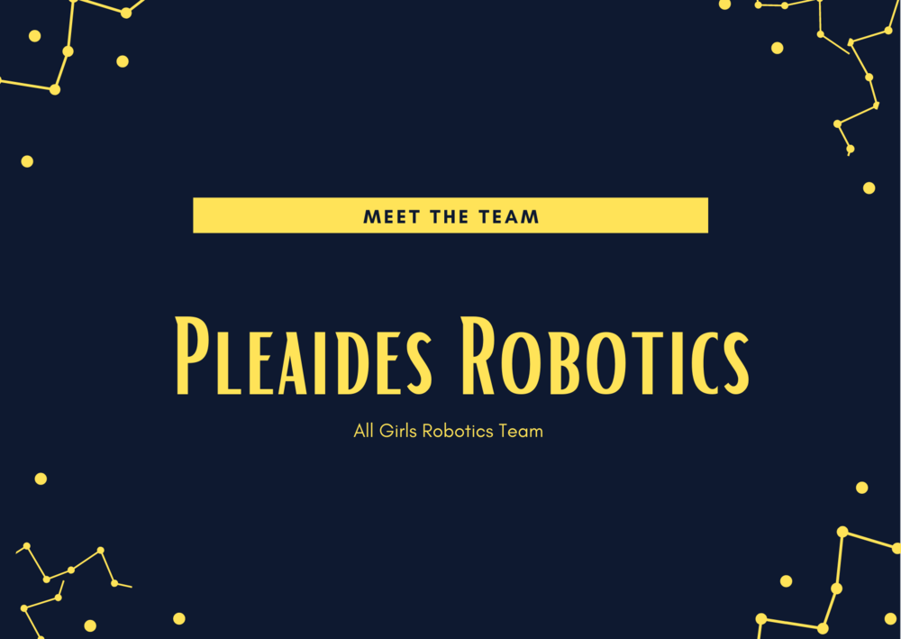 Pleaides Robotics 