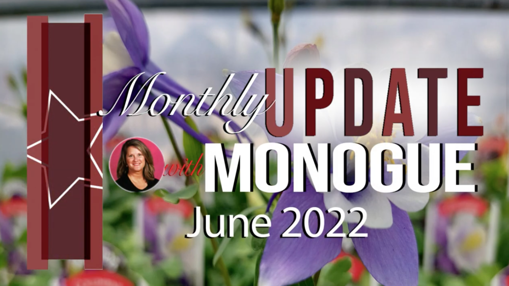 Monthly Update with Monogue