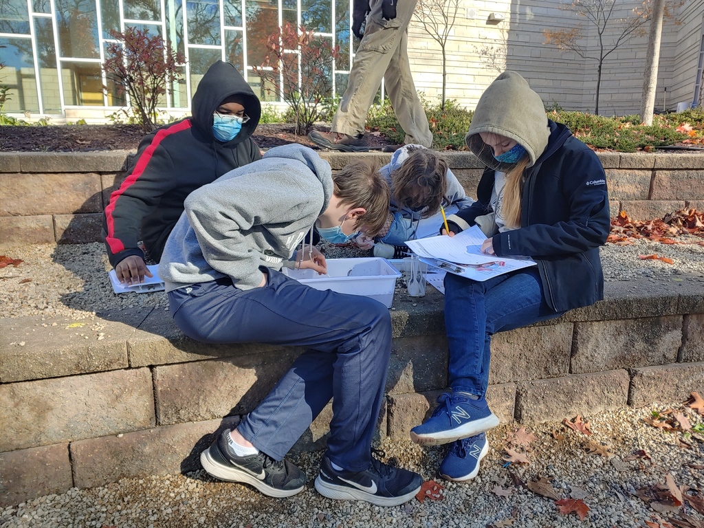 Students studying water samples 