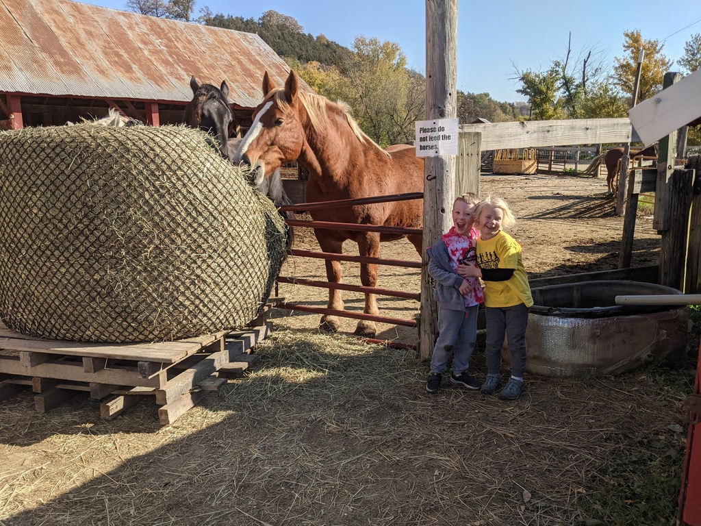 They loved the horses!